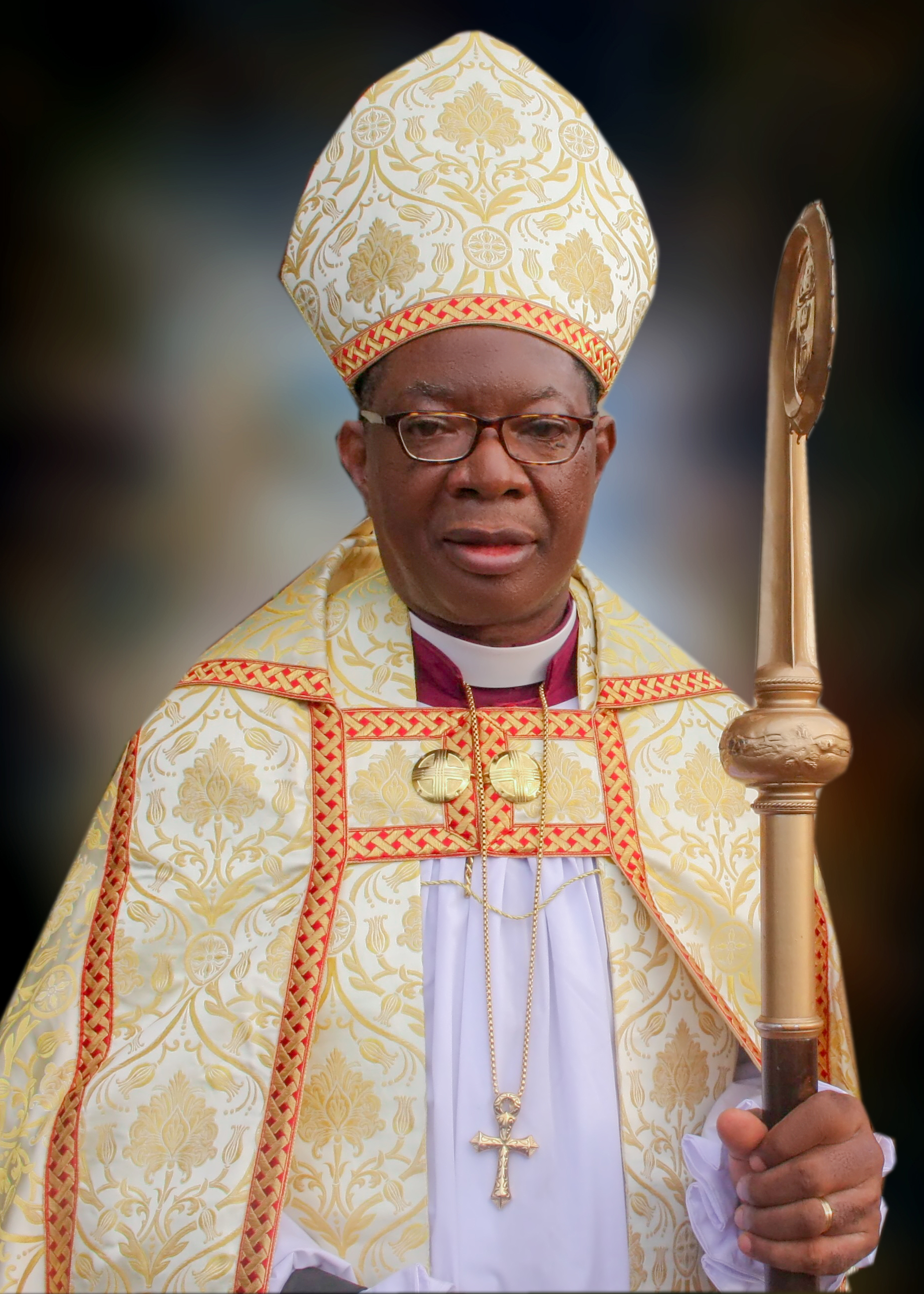 Rt. Rev. Professor Samuel Ike - The Bishop of the Diocese of Enugu